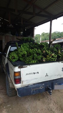 Bild 3 - 1 Zimmer Einfamilienhaus in Manaus