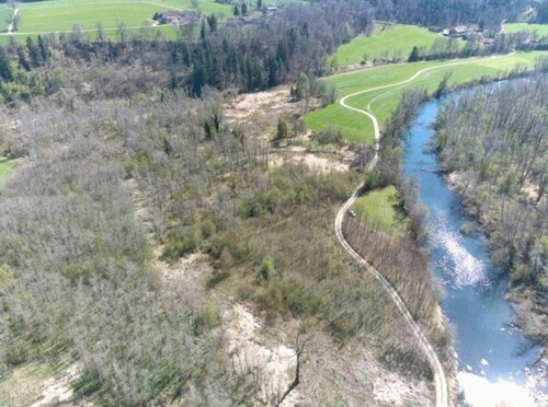 Bild 1 - Auwald in der Vogtareuther Au - 49.000,00&nbsp;EUR Kaufpreis, ca.&nbsp; 8.635,00&nbsp;m&sup2;