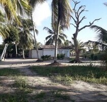 Brasilien Kokosnussölfabrik und Früchtefarm Region Salvador - Conde