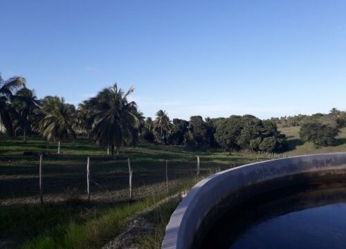 Bild 3 - Grundstück in Conde