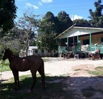 Brasilien 1535ha Ziegelfabrik Rohstoffen-Mine Manaus - Tefe