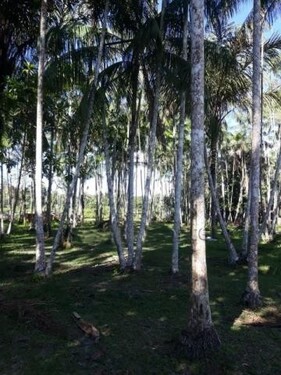 Bild 3 - 1 Zimmer Einfamilienhaus in Tefe