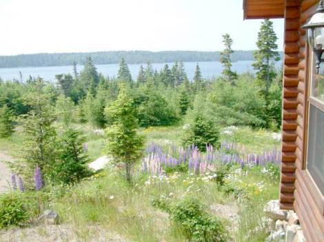 Bild 4 - Einfamilienhaus mit 180,00 m² in Saint Esprit zum Kaufen