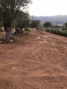 Bild 1 - 1000 m2 großes Grundstück nahe Athen