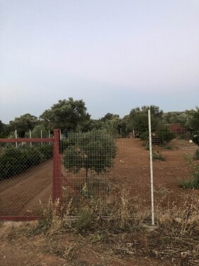 Bild 2 - Grundstück zum Kaufen in Paiania