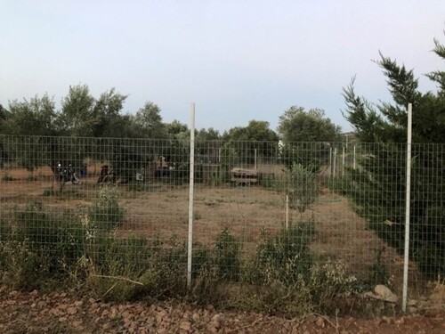 Bild 4 - Grundstück in Paiania zum Kaufen