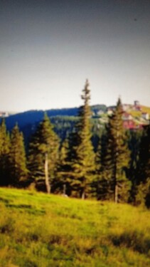 Bild 1 - 760 ha Waldflaeche - 3.100.000,00 EUR Kaufpreis, ca. 7.600.000,00 m²