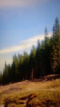 Bild 3 - Grundstück in Gurahont