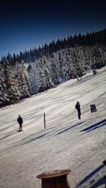 Bild 4 - Grundstück in Gurahont zum Kaufen