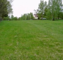 Gut gelegenes Grundstück - 99.000,00 EUR Kaufpreis, ca.  12.990,00 m² in Adorf (PLZ: 08626)