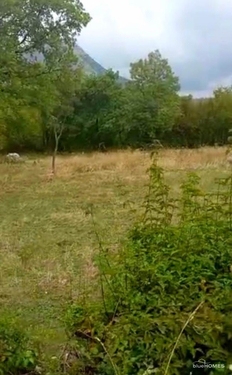 Bild 3 - Grundstück in Mrkojevici / Bar