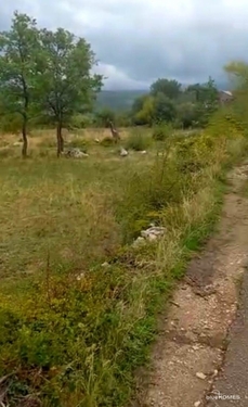 Bild 4 - Grundstück in Mrkojevici / Bar zum Kaufen