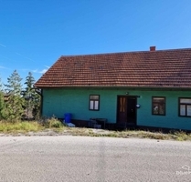 Familienhaus Kroatien 30 min vom Strand entfernt - Ravna Gora