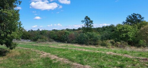 Bild 1 - ISTRIEN - BAUGRUND ALS VILLENPROJEKT FÜR BAUTRÄGER