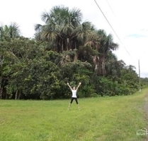 Städtisches Land im ecuadorianischen Amazonas-Dschungel - TIPUTINI - Cuyabeno Wildreservat. Yasuni