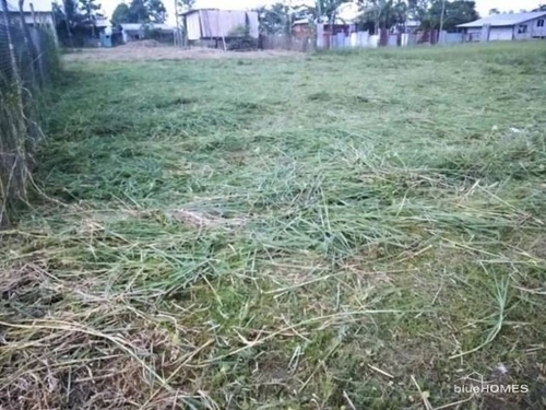 Bild 3 - Grundstück in TIPUTINI - Cuyabeno Wildreservat. Yasuni