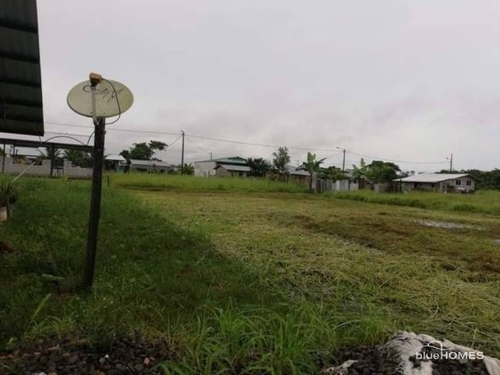 Bild 4 - Grundstück in TIPUTINI - Cuyabeno Wildreservat. Yasuni zum Kaufen