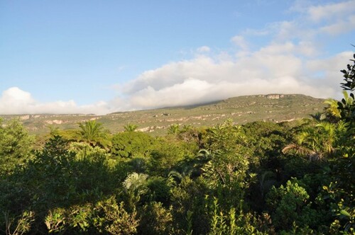 Bild 3 - 1 Zimmer Einfamilienhaus in Lençóis Chapada Diamantina