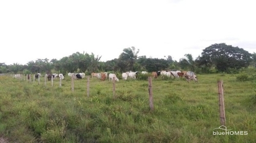 Bild 2 - Grundstück zum Kaufen in Belem