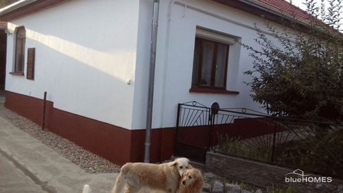 Bild 1 - Gepflegtes großes Haus 60km südlich von Balaton