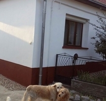 Gepflegtes großes Haus 60km südlich von Balaton - Kisszekely