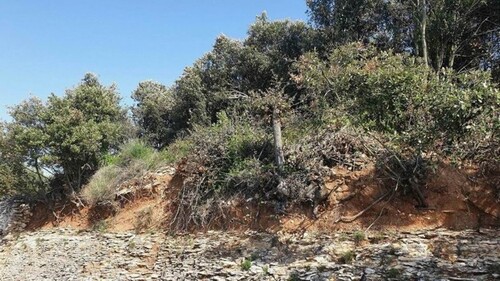 Bild 3 - Grundstück in Pula