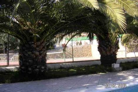 Bild 3 - 9 Zimmer Einfamilienhaus in El Campello