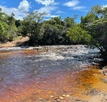 Brasilien - Grossgrund-Besitz - 8.500ha Goldmine - GUTTET-FESCHEL