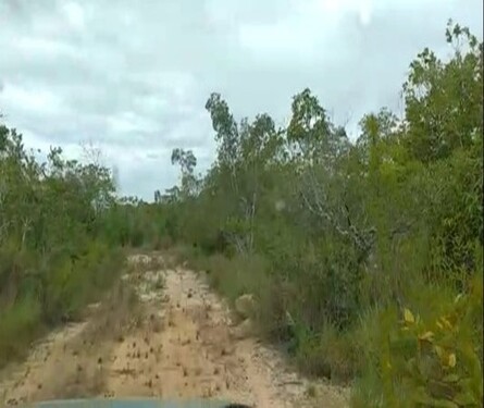 Bild 4 - Grundstück in Caracarai zum Kaufen