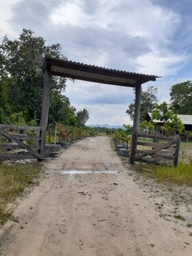 Bild 3 - Grundstück in Novo Paraiso