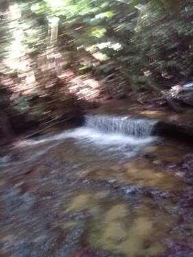 Bild 3 - Grundstück in Manaus