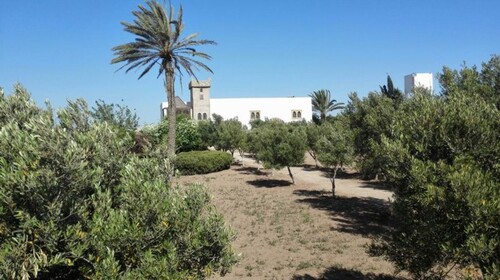 Bild 1 - Wunderschöne Riad im Süden von Marokko nicht weit vom Meer