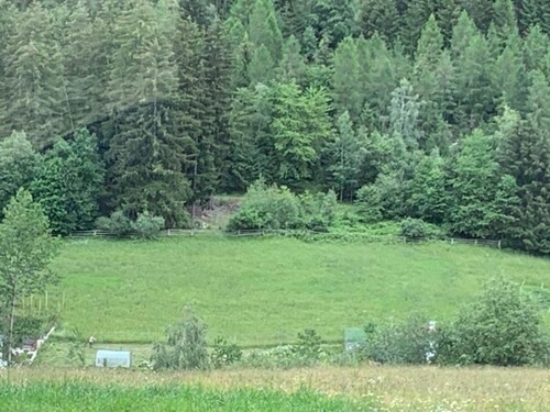 Bild 2 - Grundstück zum Kaufen in Taufers i.m.Münsterland