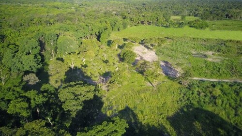 Bild 2 - Grundstück zum Kaufen in Silves