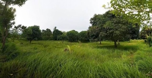 Bild 1 - Grundstück in Northern Junob Dumaguete City