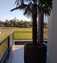 Bild 4 - Einfamilienhaus mit 365,00 m² in Conventos - State of Rio Grande do Sul zum Kaufen