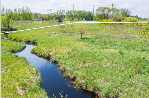 Bild 3 - Grundstück in Rainy River