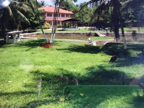 Bild 1 - Brasilien 600m2 Villa mit 4 Suiten bei Ilha de Itamaraca