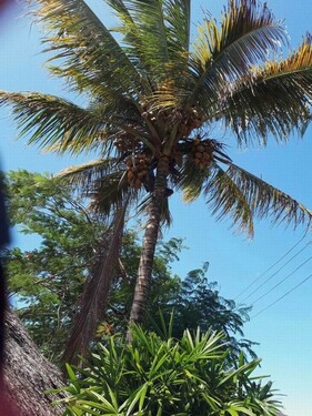 Bild 3 - 2 Zimmer Einfamilienhaus in Ukunda