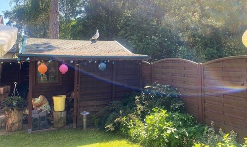 Bild 4 - Einfamilienhaus mit 72,00 m² in Lukecin zum Kaufen