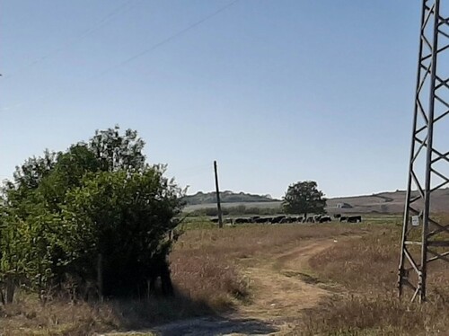Bild 1 - Haus in der Nähe von Varna in Bulgarien