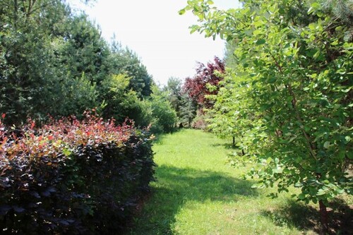 Bild 5 - 