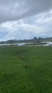 Bild 2 - Grundstück zum Kaufen in 69735000