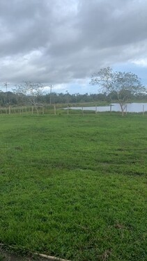 Bild 4 - Grundstück in 69735000 zum Kaufen