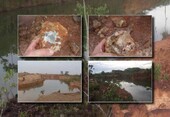 Bild 1 - Brasilien Goldmine mit 44 GOLDADERN - 2700 Hektar