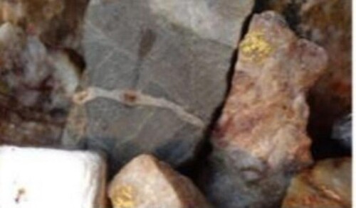 Bild 4 - Einfamilienhaus in BMT zum Kaufen