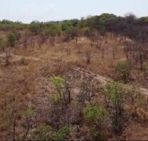 Brasilien 36171 ha grosses Grundstück Amazonas - Novo Aripuana