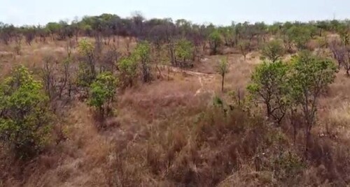 Bild 3 - Grundstück in Novo Aripuana