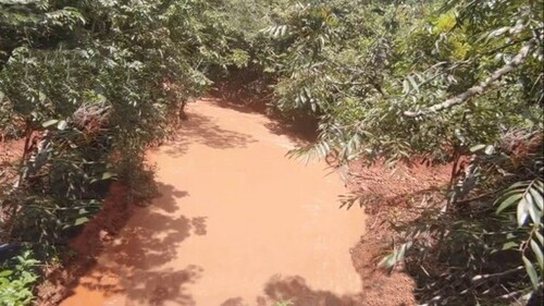 Bild 4 - Grundstück in Novo Aripuana zum Kaufen