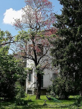 Bild 2 - 8 Zimmer Einfamilienhaus zum Kaufen in Castelnuovo Scrivia